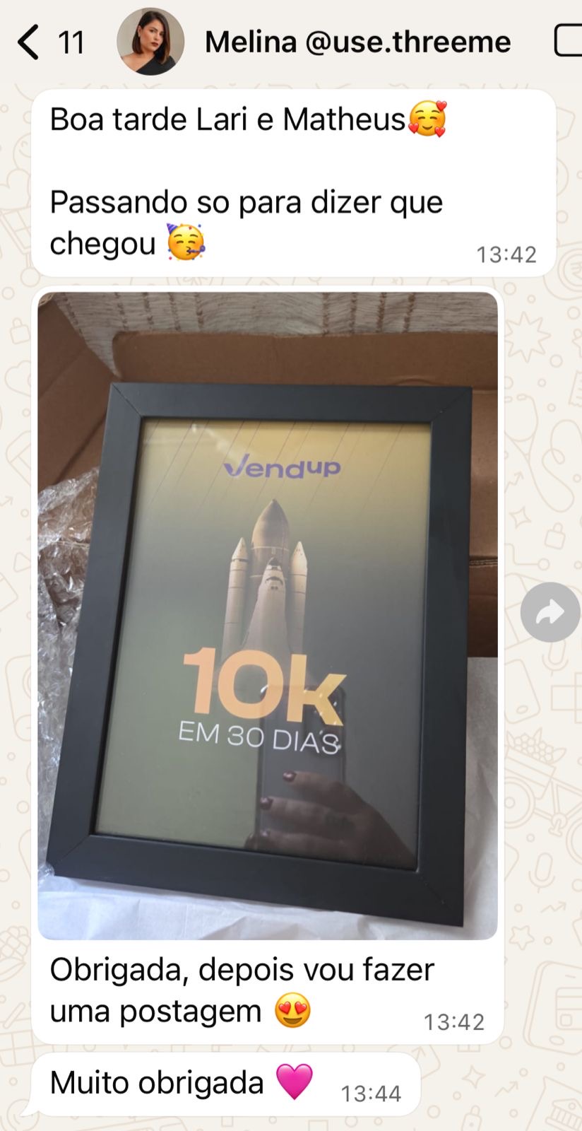 Mentorada Vendup 9